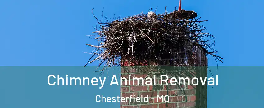  Chimney Animal Removal Chesterfield - MO