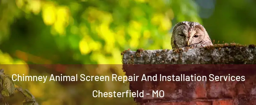  Chimney Animal Screen Repair And Installation Services Chesterfield - MO