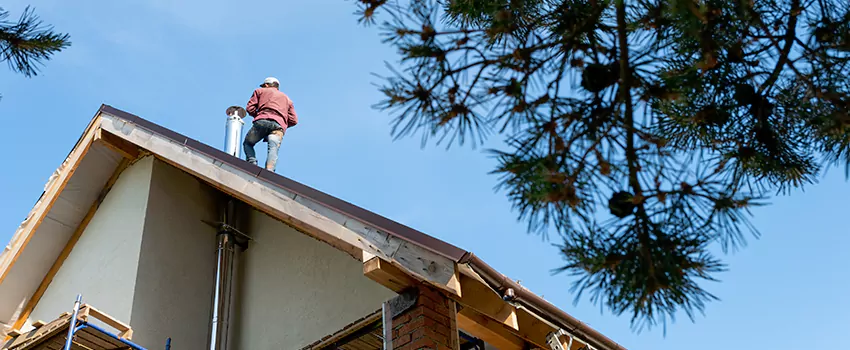 Birds Removal Contractors from Chimney in Chesterfield, MO