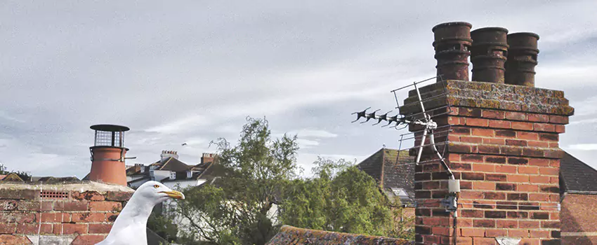 Chimney Cleaning And Restoration in Chesterfield, Missouri